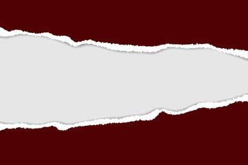 Vector of ripped paper. The paper was ripped background.