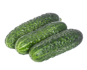 three small green cucumbers on a white background