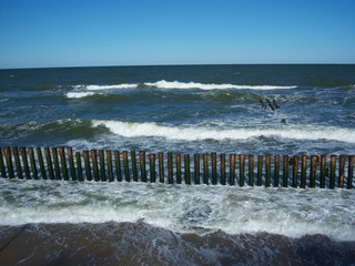 beach fence