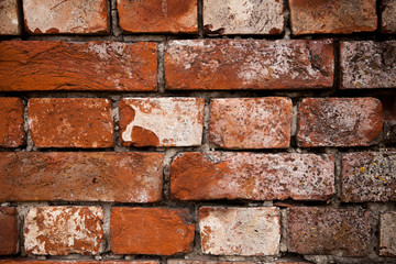 Fototapeta premium Old brick wall, a beautiful background for wallpaper, laminate, panels, furniture.