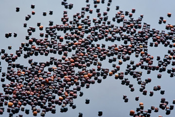 large amount of quinoa is poured onto a black reflective surface, milky, macro photography,