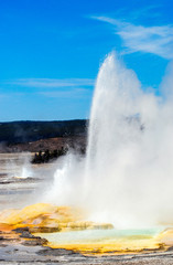 Obraz premium A geyser erupting in Yellowstone National Park