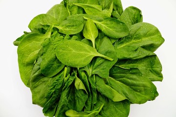 Fresh spinach leaves with water drops on them, background