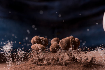 hazel  and almonds with chocolate