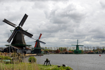 Naklejka premium vacanza in Olanda Amsterdam e parco dei tulipani Keukenhof
