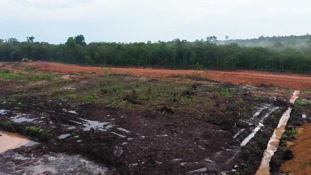 deforestation of the jungle for mining, plantation or fine wood