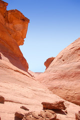 Fototapeta na wymiar Sandstone formations in Bears Ears wilderness in Southern Utah.