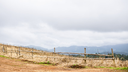 View of the mon jam after harvest season in Mae Rim, Chiang Mai.