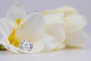 Diamond on White Flower Petal
