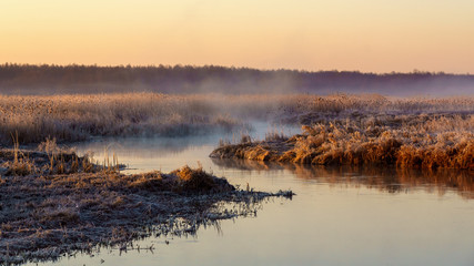 Poranek w Narwiańskim Parku Narodowym. Rzeka Narew. Polska Amazonia. Podlasie. Polska © podlaski49