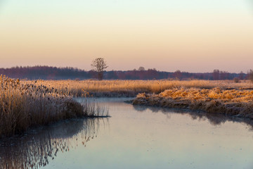 Poranek w Narwiańskim Parku Narodowym. Rzeka Narew. Polska Amazonia. Podlasie. Polska