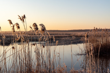 Poranek w Narwiańskim Parku Narodowym. Rzeka Narew. Polska Amazonia. Podlasie. Polska © podlaski49