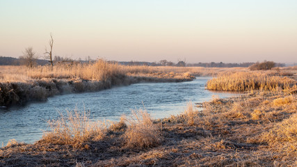Poranek w Narwiańskim Parku Narodowym. Rzeka Narew. Polska Amazonia. Podlasie. Polska