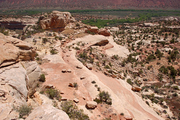 Canyon country in the Bears Ears wilderness of Southern Utah.