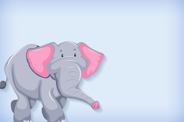 Background template design with plain color wall and elephant
