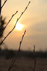 Beautiful orange sunrise on the lake