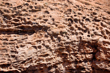 Sandstone texture in Bears Ears wilderness of Southern Utah.