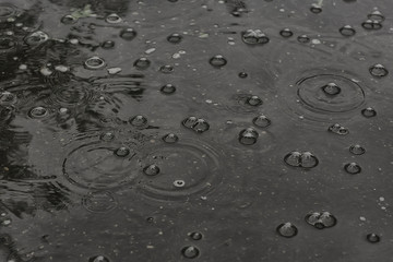 background puddle rain / circles and drops in a puddle, texture with bubbles in the water, autumn rain