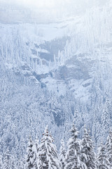 Cirque de Saint meme