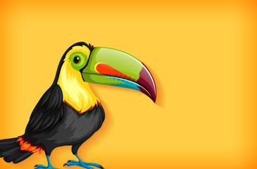 Background template with plain color and toucan bird
