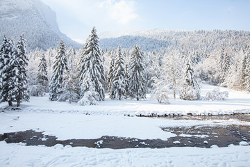 Cirque de Saint meme