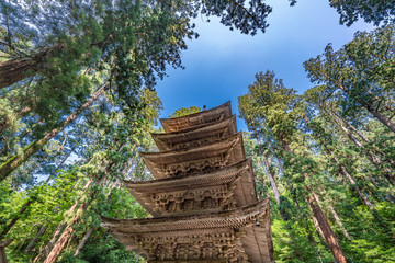 Five Story Pagoda surounded by Sugi trees at Mount Haguro (羽黒山), One of the three sacred mountains of Dewa Province (出羽三山). Located in Yamagata Prefecture, Japan.