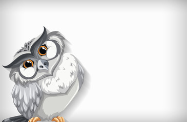 Background template with plain color and snow owl