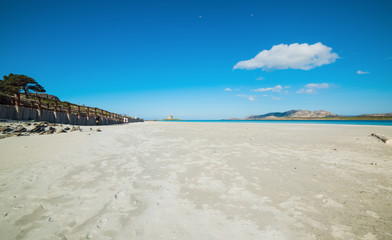 bright white sand in La Pelosa beach