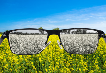 Looking through glasses to bleach nature landscape with blue sky and yellow field. Color blindness....