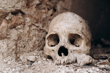 Human skull and crossbones in an old mexican cemetery