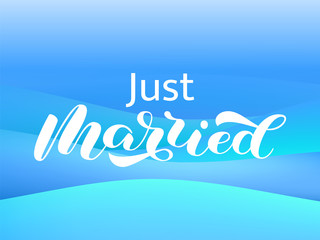 Just married brush lettering. Vector stock illustration for poster or banner