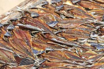 Drying Fish on Nazare Beach, Portugal