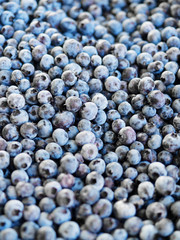 Blueberries filling the frame