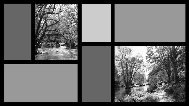 Fond écran HD organiseur décor nature noir et blanc