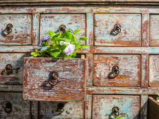 Chest of drawers with flowers