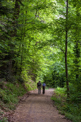 Walking in park in Baden-Baden, Germany