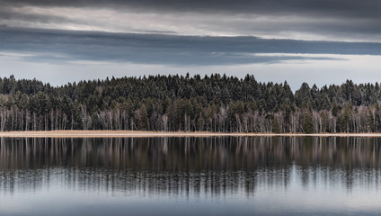 Landscape of a specular reflection in the lake, a dry grass, a cane and snags in the foreground,...