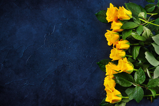 Top view of yellow roses on classic blue background