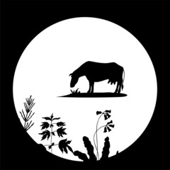 Cow, field grass. Black silhouette.Vector illustration.