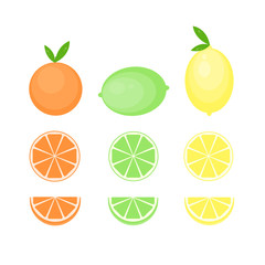 This is citrus fruits. Lemon, lime, orange, mandarine on white background.