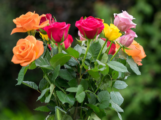 A vase of colourful Roses out in the garden