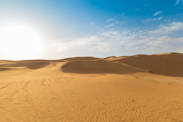 Fototapeta na wymiar UAE. Desert landscape