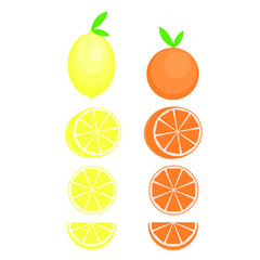 This is vector citrus fruits. Lemon, orange, mandarine isolated on white background.