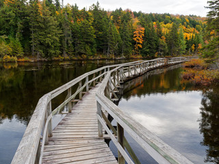 Wooden footbridge on a lake in autumn