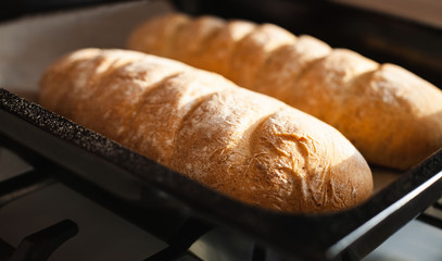 Two freshly baked homemade bread on baking tray. Close-up.