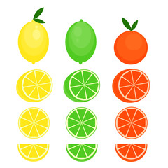 This is vector citrus fruits. Lemon, lime, orange, mandarine isolated on white background.