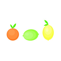This is vector citrus fruits. Lemon, lime, orange, mandarine isolated on white background.