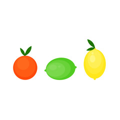 This is vector citrus fruits. Lemon, lime, orange, mandarine isolated on white background.