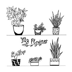  House flowers on the windowsill. Vector doodle graphic. Decorative flowers in pots. Decor elements. Vector objects for printing on paper and fabric
