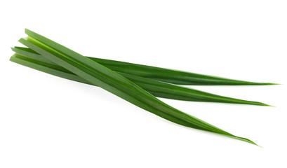 Fototapeta premium Fresh green pandan leaves isolated on white background